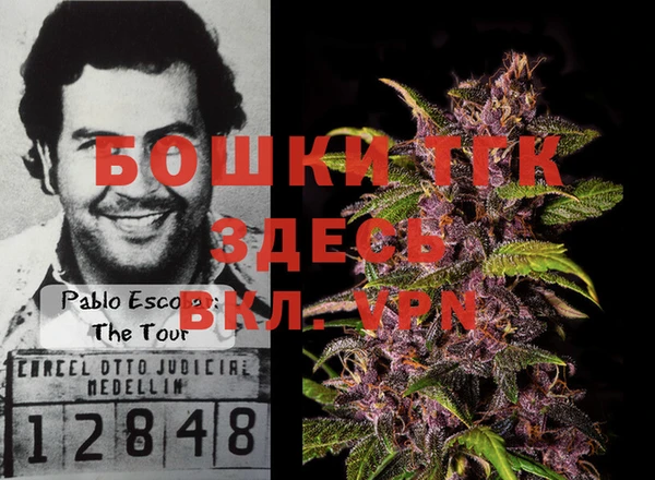прущие крисы Белая Холуница